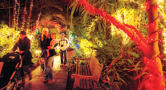 Garden of Lights at the San Diego Botanic Garden