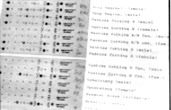 dna sequence chart