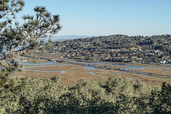 Torrey Pines Beach Trail: view of Los Penasquitos marsh from the park