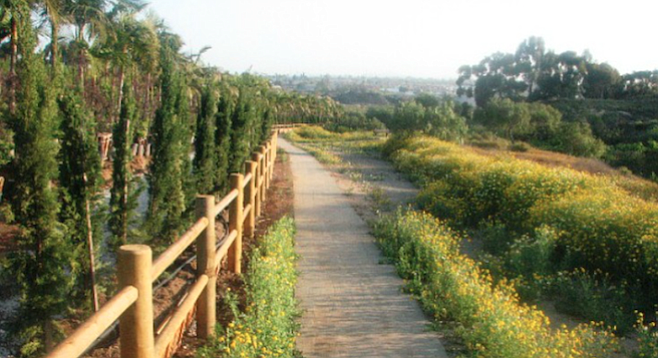 Among the many established paths in the Tijuana River Valley