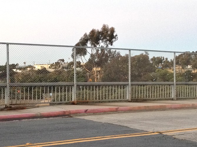 The chain link fence proposed for the Voltaire Street Bridge will be similar to this one on Famosa except it will have a black vinyl coated railing. 