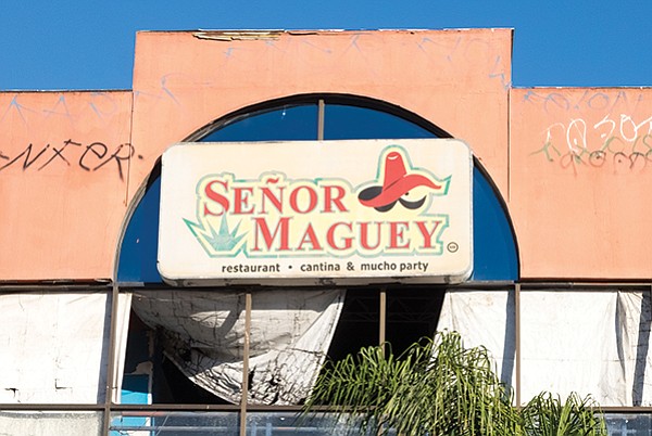 “Mucho party” at Señor Maguey