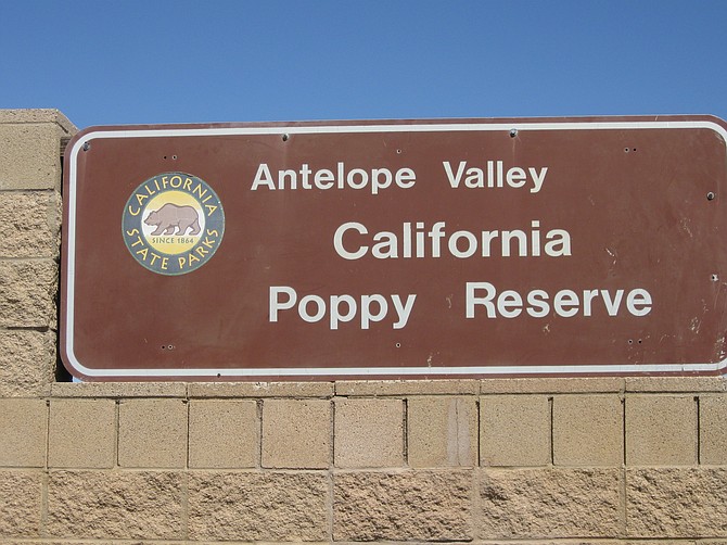 Poppy Field Sign