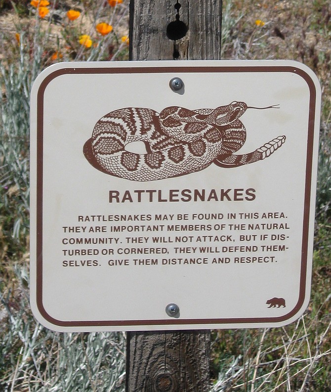 Rattlesnake warning