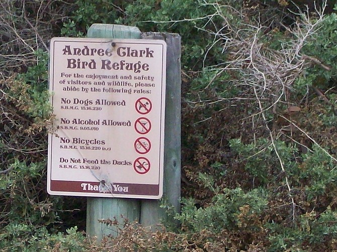 Andree Clark Bird Refuge.