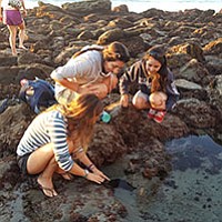 Take a tidepooling tour with Birch Aquarium at Scripps and see the life beneath your feet.