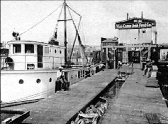 Tuna boats at San Diego harbor. "They didn’t have the great big purse seiners that they have today."