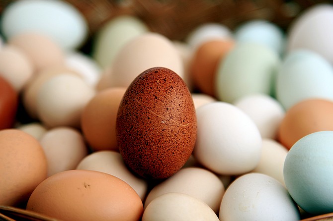 Papas Garden will provide the farm fresh eggs.