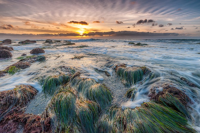 This photo was taken at a tide pool in La Jolla on the New Year's Day, 2017. The contrast of the algae revealed by the low tide and the rake-like clouds presented an unusual atmosphere.