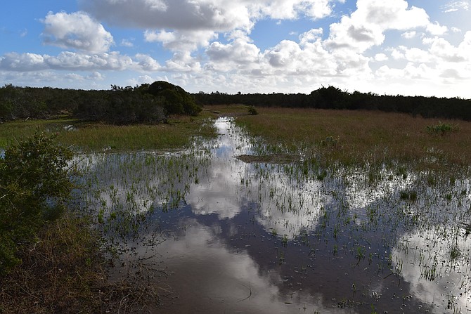Clouds reflecting on vernal pool at Del Mar Mesa Open Space in Rancho Penasquitos, January 2017.  