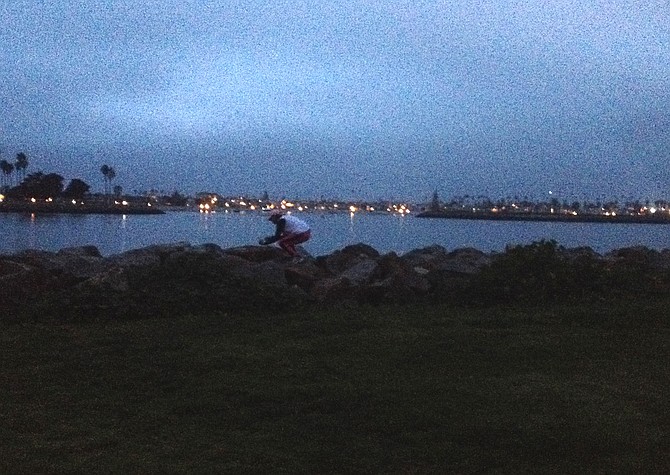 A volunteer feeds the cats at the jetty at night, she then watches from afar to make the skunks don't get their fare (evening of Feb 10). 