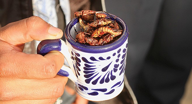 Tijuanenses usually purchase chapulines for tourists as a “dare you” snack.