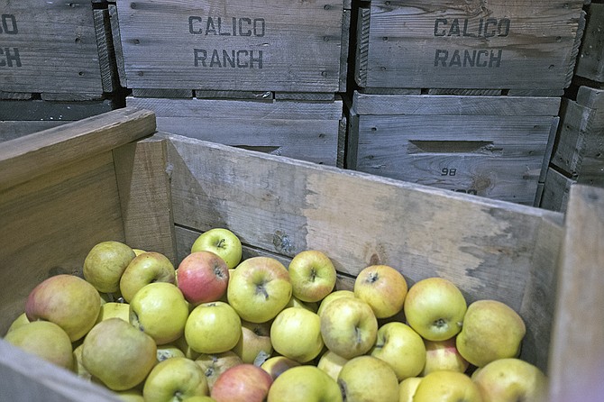 The apple bushels are starting to stack up at Calico Cidery as rain returns to Julian.
