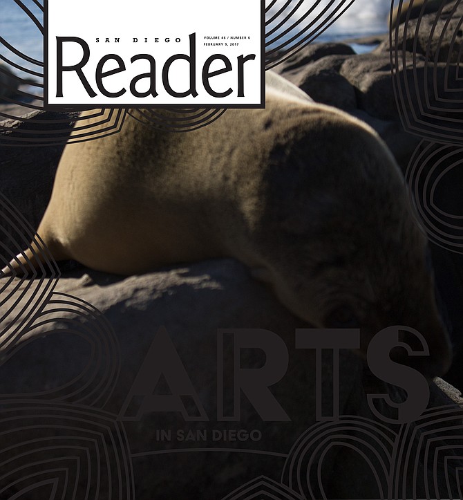 I am a local photographer and I shot this image of a baby sea lion at the La Jolla Cove. If this file can't be read, I have other formats I can email to you. Thank you!

~Emileigh MacKinnon