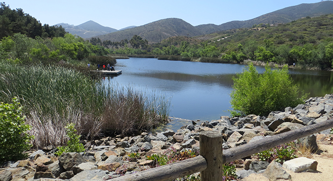 Easy Stroll Around Discovery Lake In San Marcos San Diego Reader