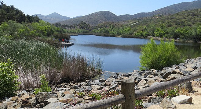 Discovery Lake is an easy hike in an ecosystem full of critters — watch out for snakes and poison oak.