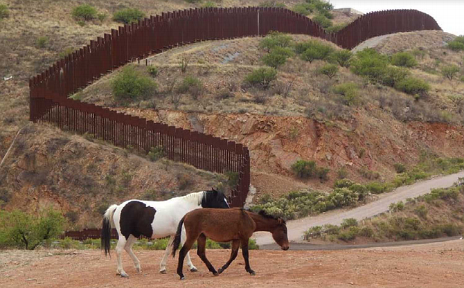 At least in this area, horses seem to be able to cross the U.S.-Mexico border at will