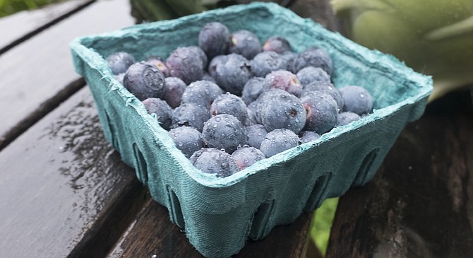 Despite the rain, some locally grown blueberries (and strawberries) may be found in March.