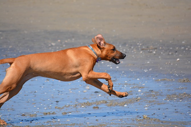 Fun at the beach.
