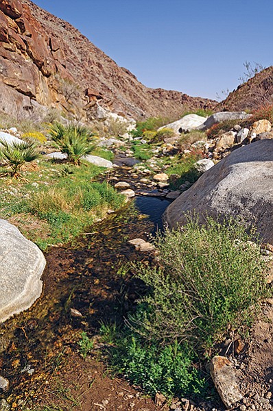 Anza-Borrego Desert Creek emanates from a natural spring...but there are no reservoirs to collect it.