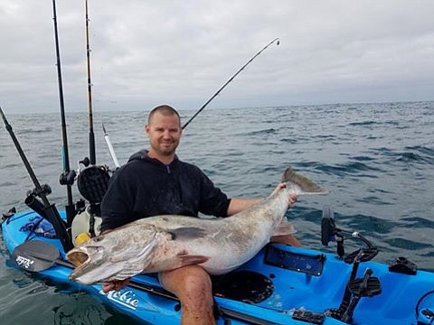 Derek Gandy and his catch: a 68-pound white seabass