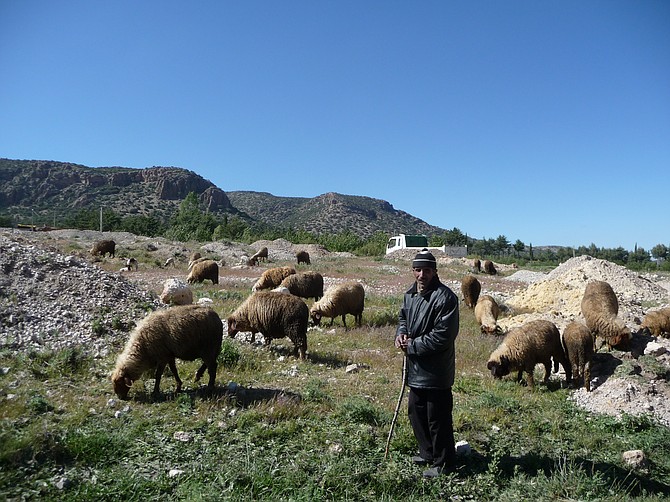 Kurdish Shepherd
