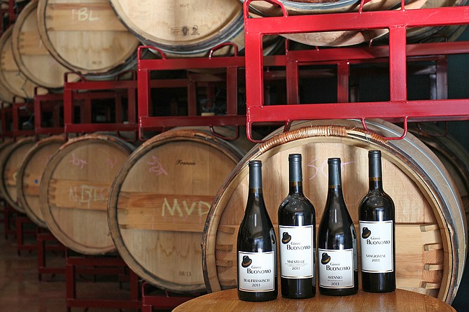 Bottles in Winery