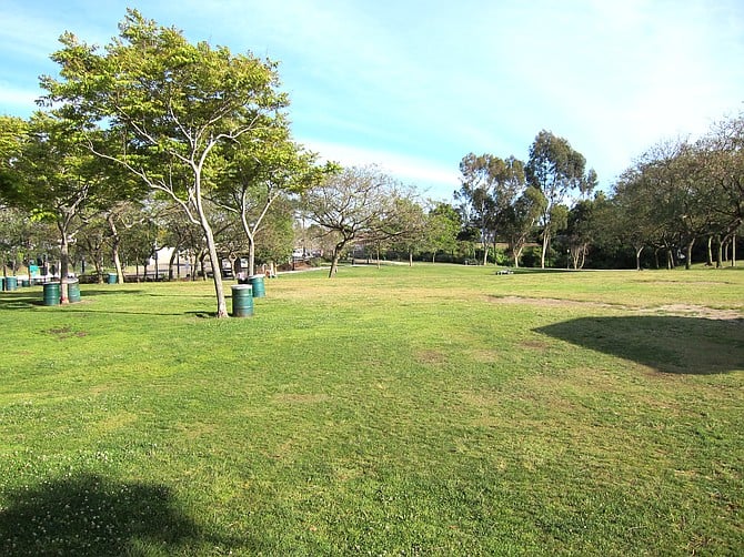 Ward Cayon Park, No homeless camps here on April 7.