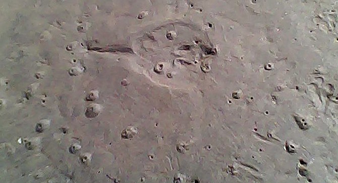 Volcano holes created by ghost shrimp (see stingray imprint at top of photo).