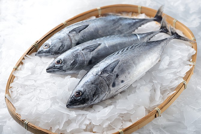 Keep bonito on ice until ready to prepare them for smoking.