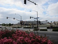 photo thumbnail