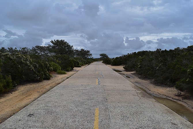 Old Highway 101 at Torrey Pines State Reserve, May 2017.  