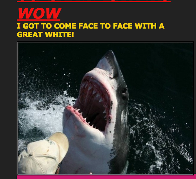 From Alaskan Star site. For $25 a day, people could come out and fish and apparently get near great white sharks that Jones was chumming to attract. 