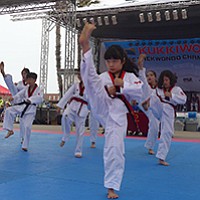 Everything taekwondo at the Junior Seau amphitheatre
