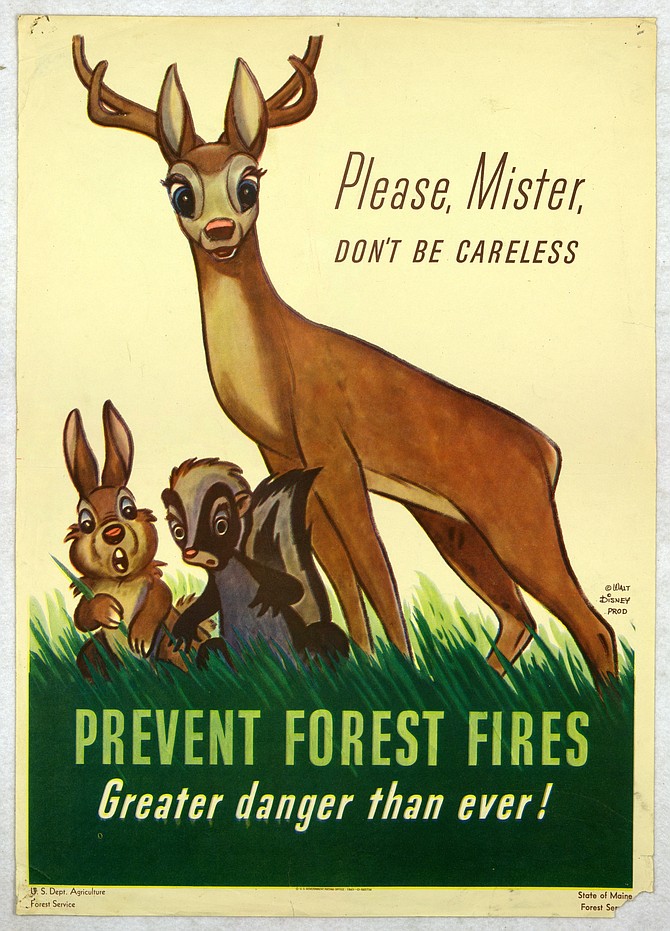In 1943, Disney allowed the government use of his characters for a fire prevention campaign. After a year, it was their responsibility to come up with a new mascot. That's how Smokey the Bear was born.