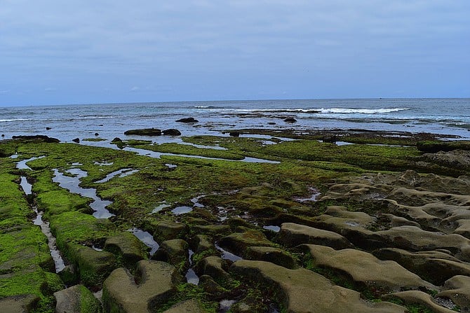 Lovely May Gray/June Gloom morning at La Jolla Tide Pools.  June 1, 2017