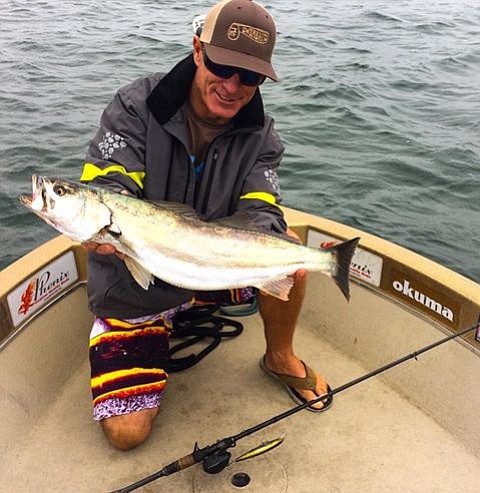San Diego fishing standout, Kevin Mattson, at one of his secret bay spots with a 28" shortfin corvina caught the morning of June 10
