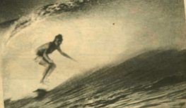 A Matter of Style was descriptions of surfers like Terry Fitzgerald and Shaun Tomson and analyses of their styles...