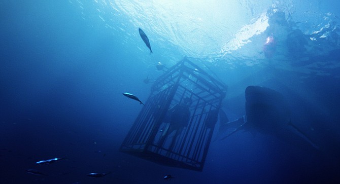 47 Meters Down: It’s hard to see how this ends well. But then, it always is.
