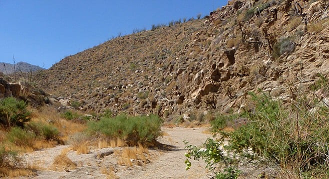 Start of the trail into Hornblende Canyon
