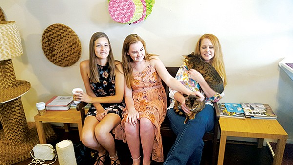 Cat ladies in training at The Cat Café downtown