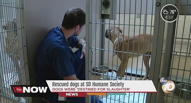 Humane Society on Channel 10 News. Lagstein from SEIU said that he is worried about the employees who stand to lose their jobs,