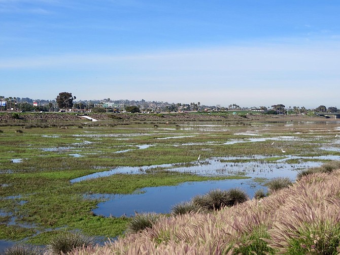 Rewild Mission Bay marsh.  A channel would be dredged along the southern tip of the cove, turning it into an island.