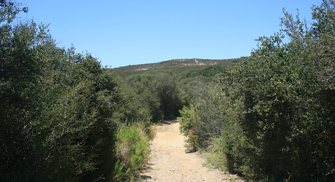 The Del Mar Mesa preserve is owned by the city of San Diego, California Department of Fish & Wildlife, the U.S. Fish & Wildlife Service, the county, and private owners.