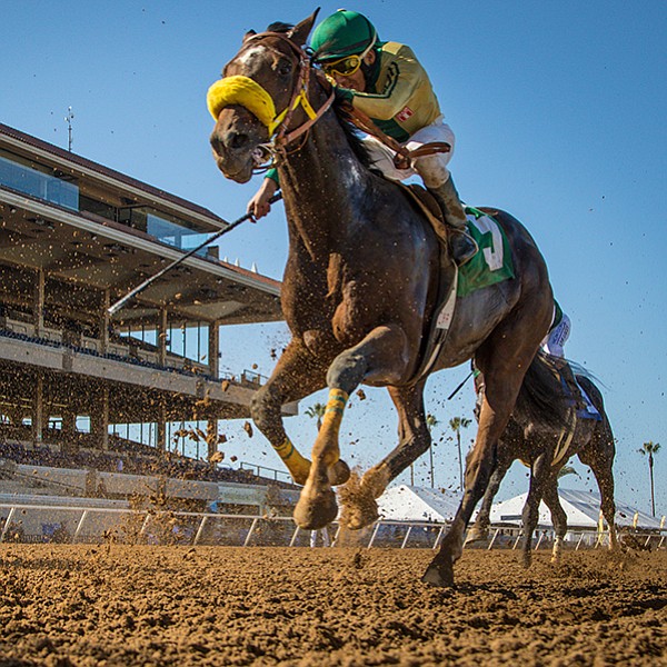 Fabulous, fashionable, and fun festivities. Plus horse racing.