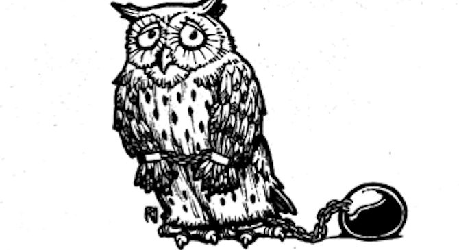 Did you find the feather on the ground? Did you wrestle the owl into submission and rip it out?