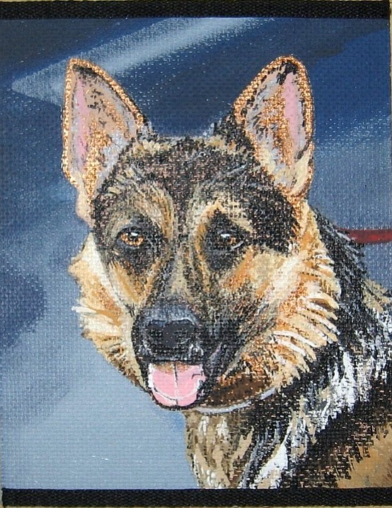 The second most popular breed according to AKC is the German Shepherd.