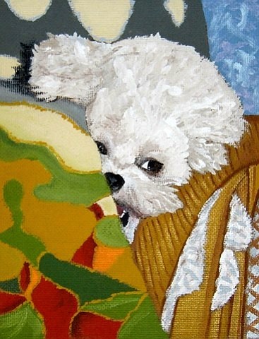 The breed Jill is asked to paint the most?  Bichon frise. 