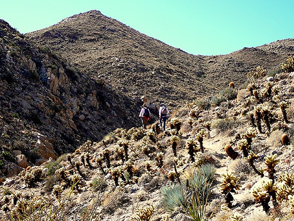 View from the trail. Access through Mortero Palms is the recommended hiking route to view the trestle. 
