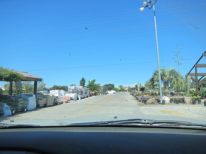 Before the planning meeting, Collins took me on a tour of his mammoth nursery. 